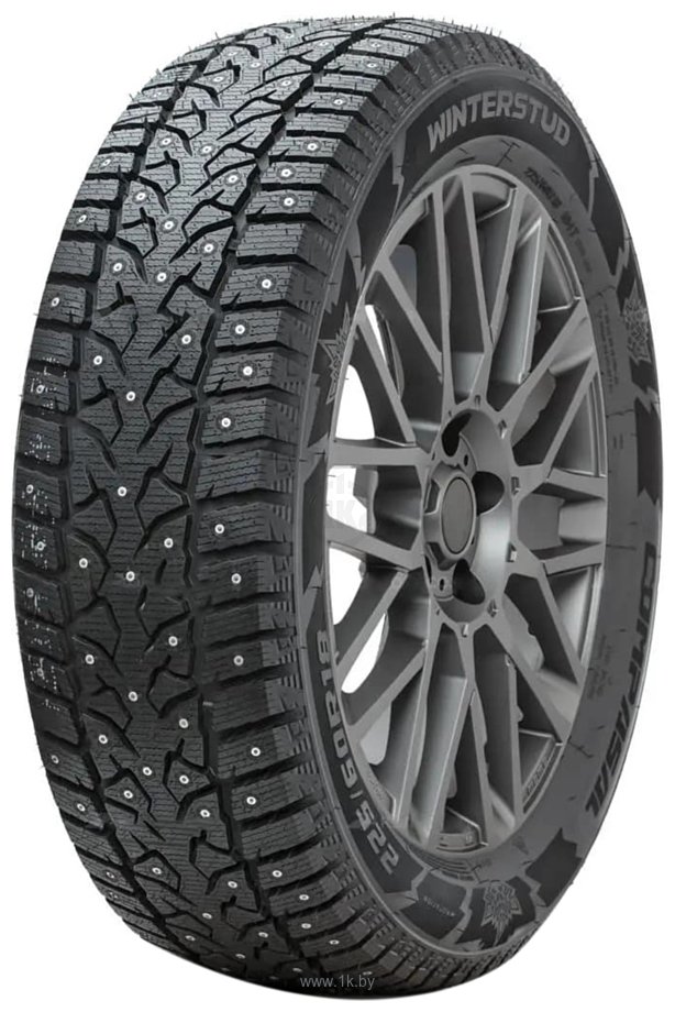 Фотографии Compasal Winter Stud 225/45 R18 95T (шипы)