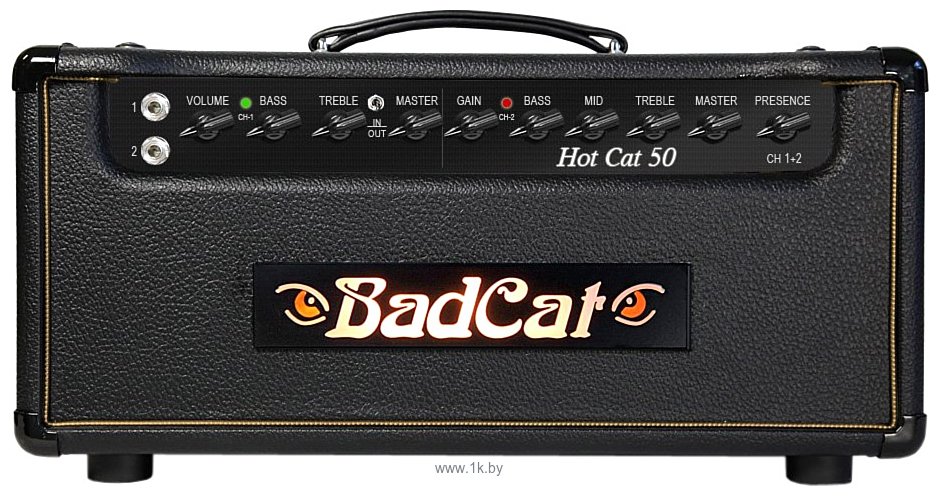 Фотографии Bad Cat Hot Cat 50