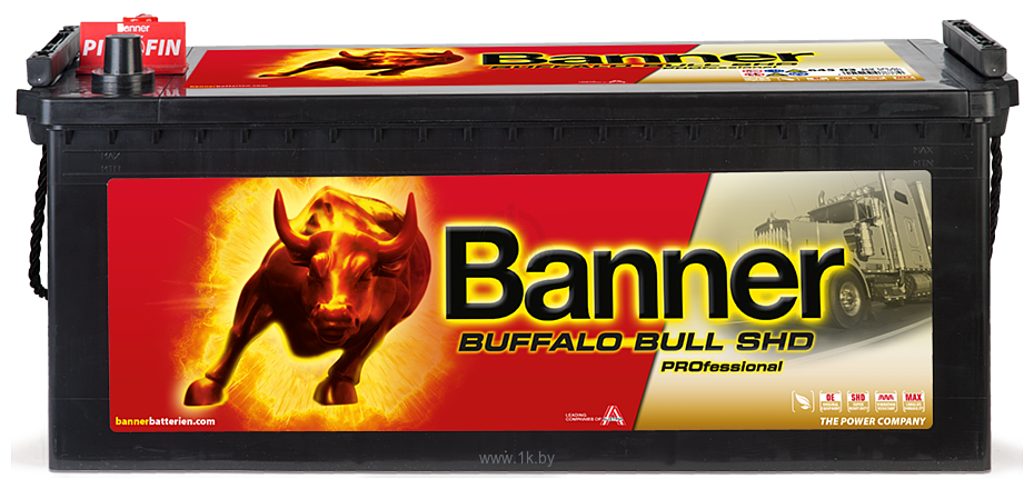 Фотографии Banner Buffalo Bull EFB 650 17 (150Ah)
