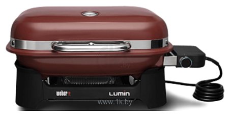 Фотографии Weber Lumin Compact 91040979