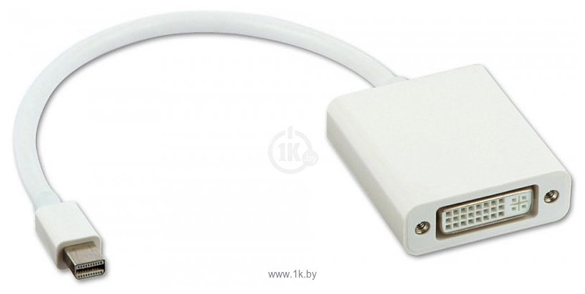 Фотографии mini-DisplayPort - DVI 0.15 м