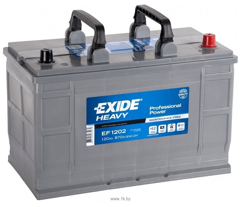 Фотографии Exide Professional Power EF1202 (120Ah)