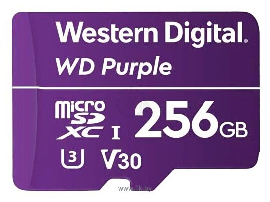 Фотографии Western Digital WDD256G1P0A