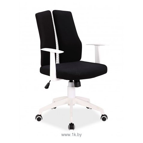 Фотографии Signal Q-226 (черный/белый) Фотографии Signal Q-226 (черный/белый)