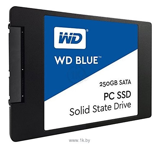 Фотографии Western Digital BLUE PC SSD 250 GB (WDS250G1B0A)