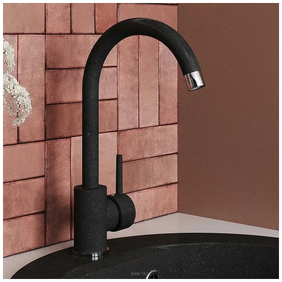 Фотографии Polygran Элара (космос 316)