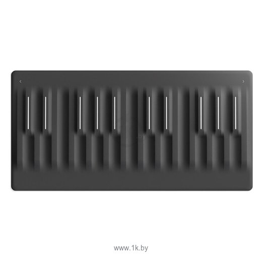 Фотографии ROLI Seaboard Block