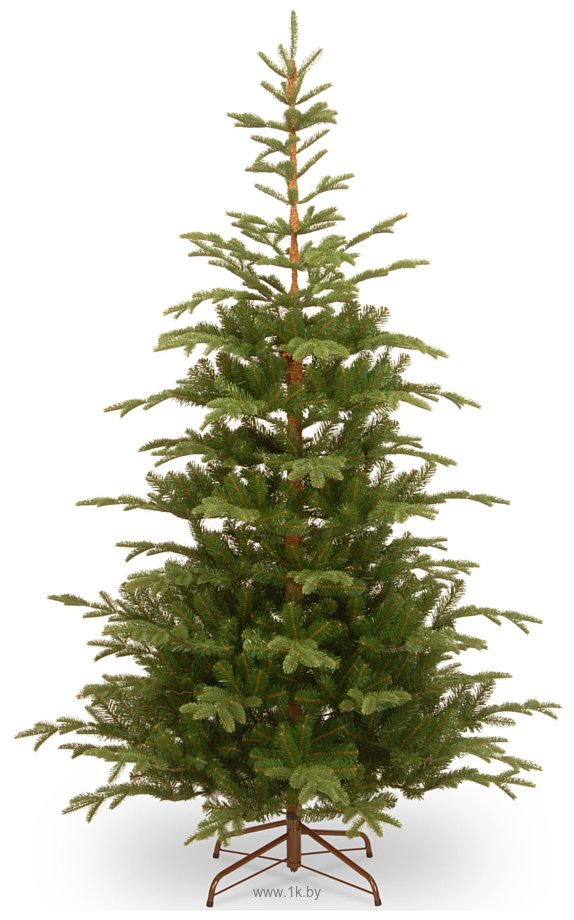 Фотографии National Tree Company Norwegian Spruce 2.25 м (PENG4-500-75)