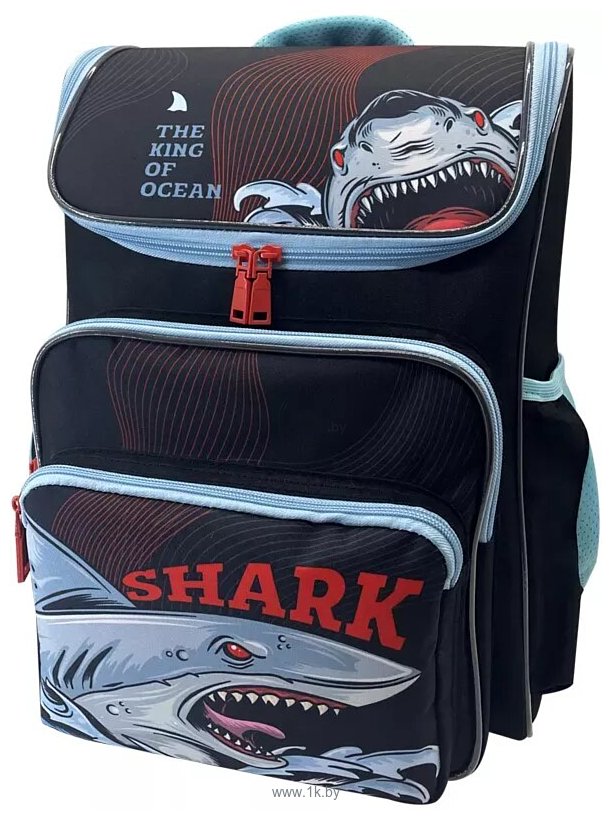 Фотографии ArtSpace Happy School Shark Uni_17727