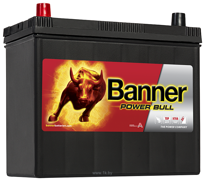 Фотографии Banner Power Bull P45 24 (45Ah)