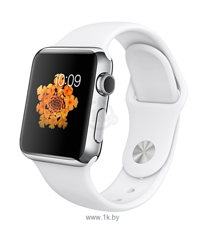 Фотографии Apple Watch 38mm Stainless Steel with White Sport Band (MJ302)