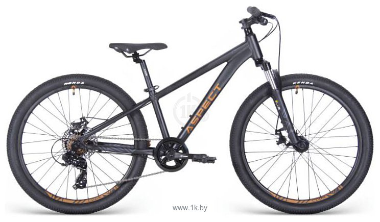 Фотографии Aspect Winner 24 (2025)