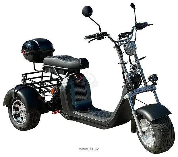 Фотографии Smart Balance X11 Trike 2025
