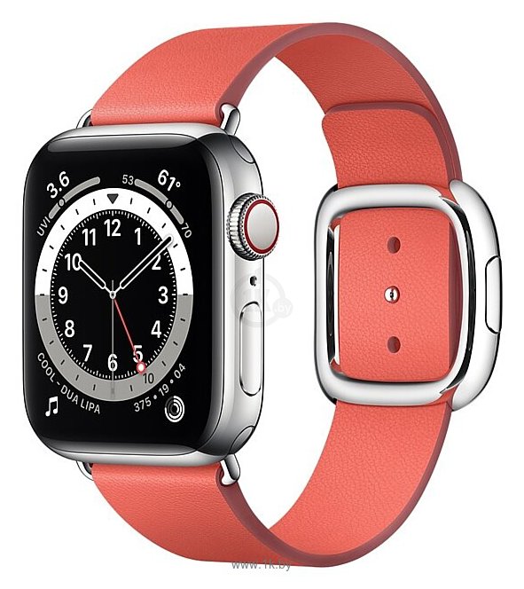 Фотографии Apple Watch Series 6 GPS + Cellular 40mm Stainless Steel Case with Modern Buckle