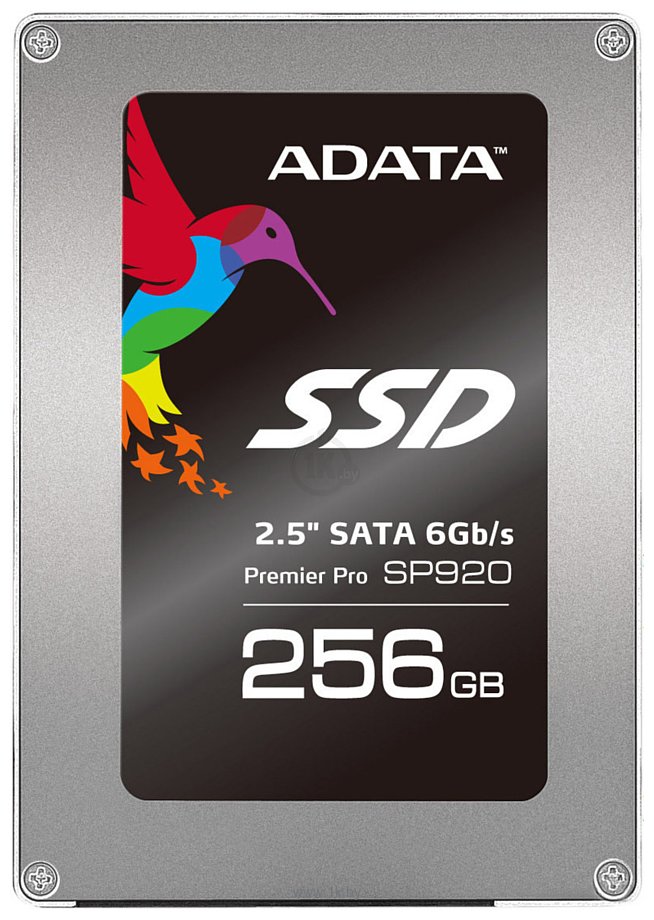 Фотографии ADATA Premier Pro SP920 256GB (ASP920SS3-256GM-C)