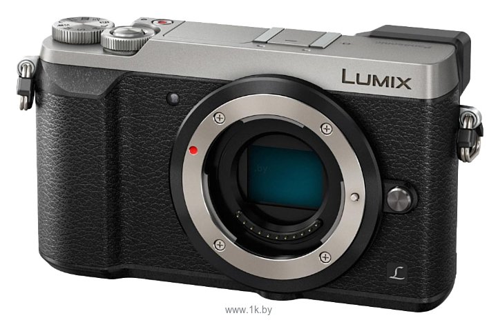 Фотографии Panasonic Lumix DMC-GX80 Body