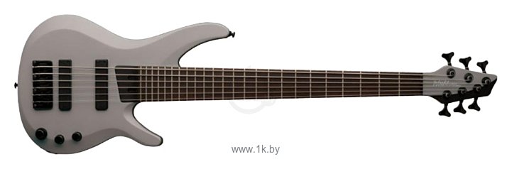 Фотографии Washburn BB6