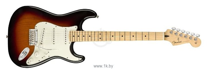 Фотографии Fender Player Stratocaster