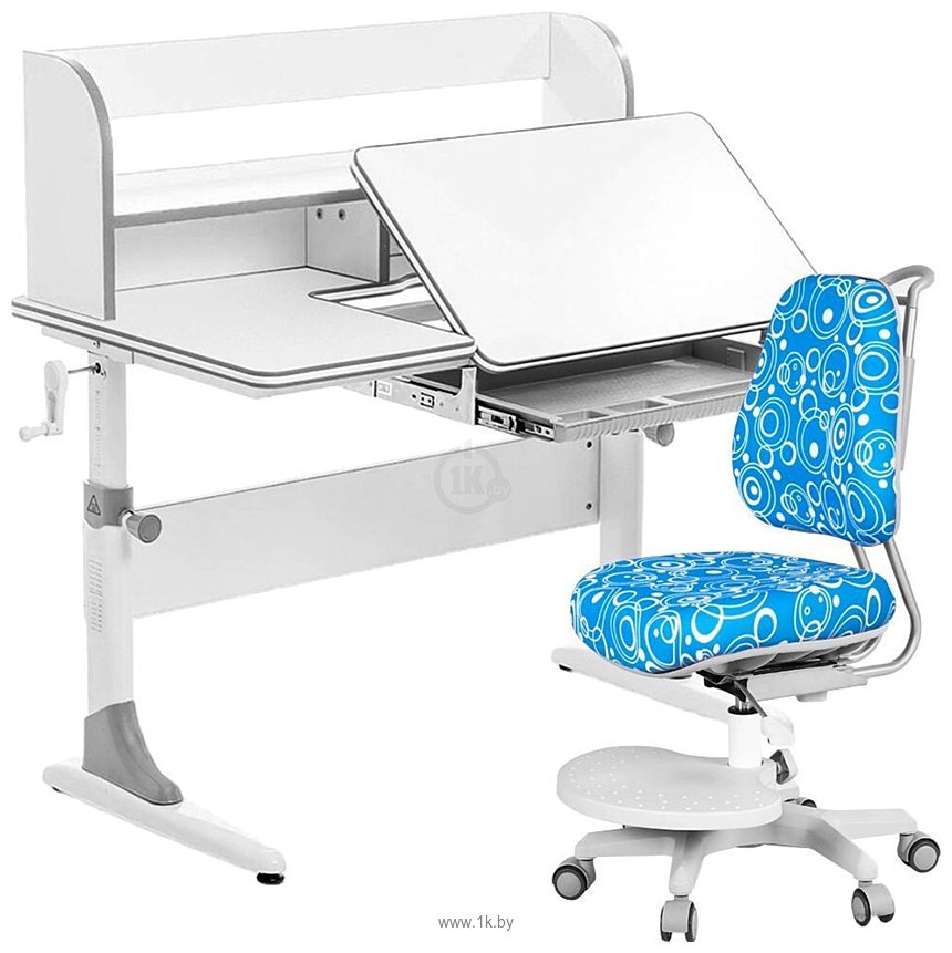 Фотографии Anatomica Study-100 Lux + органайзер с синим креслом Ragenta с пузырями (белый/серый)