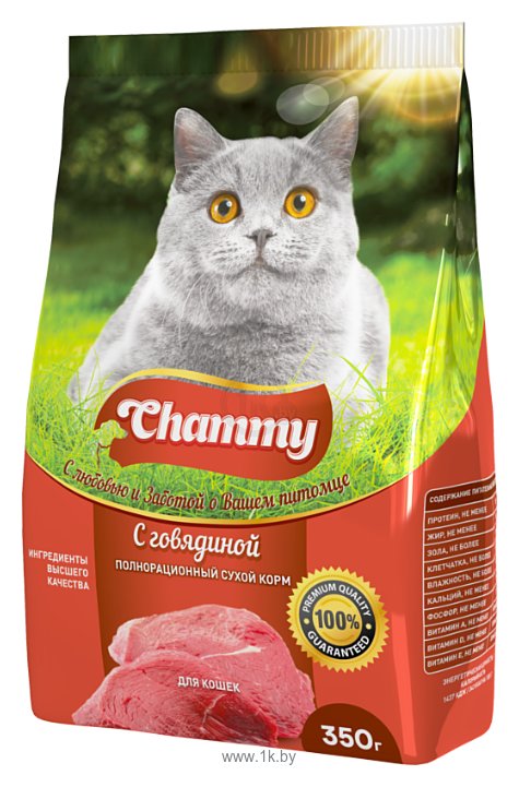 Фотографии Chammy С говядиной