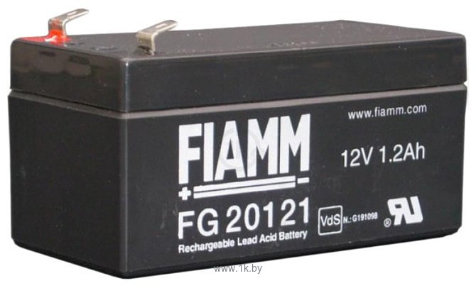 Фотографии FIAMM FG20121