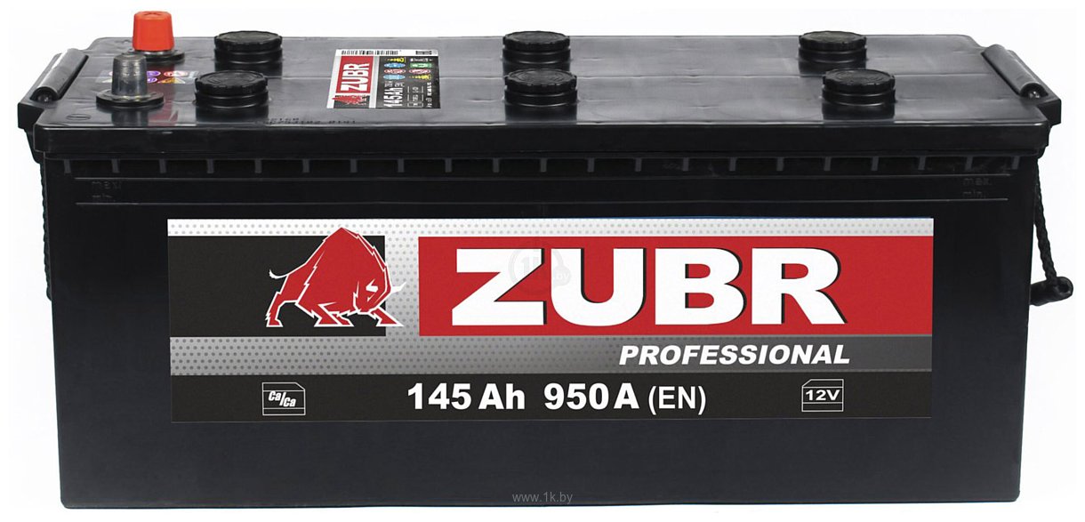 Фотографии Zubr Professional R+ (145Ah)