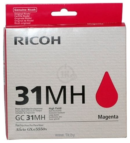 Фотографии Ricoh GC 31MH (405703)