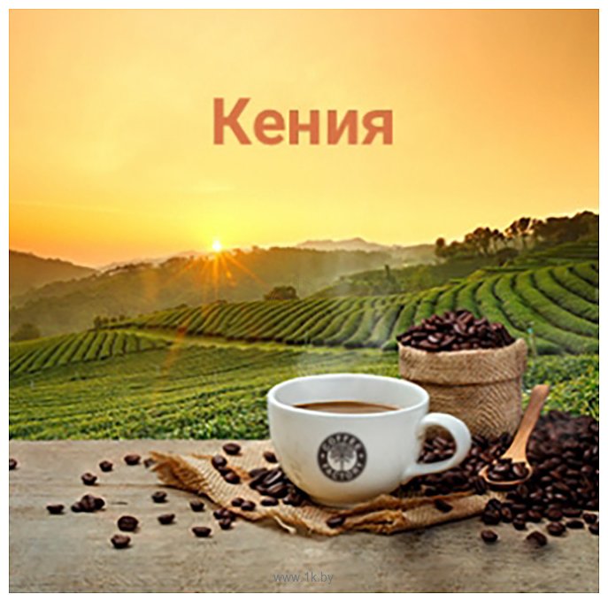 Фотографии Coffee Factory Моносорт Кения АА Mount selection в зернах 1000 г