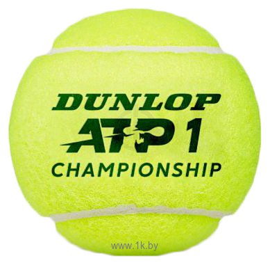 Фотографии Dunlop ATP Championship (4 шт)