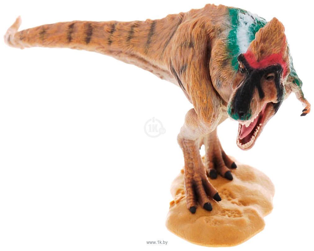Фотографии Collecta Тираннозавр на охоте 88742b L