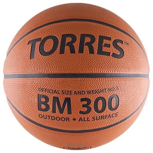 Фотографии Torres BM300 (5 размер)