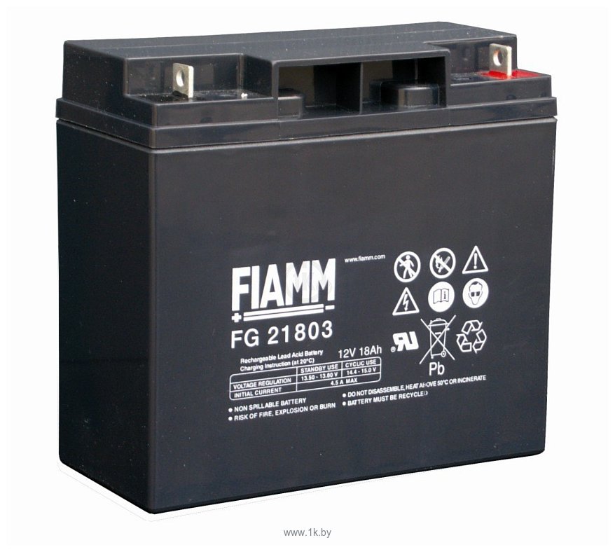 Фотографии FIAMM FG21803