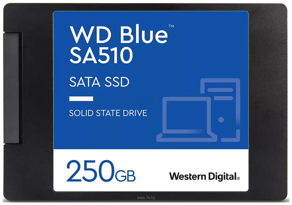 Фотографии Western Digital Blue SA510 250GB WDS250G3B0A