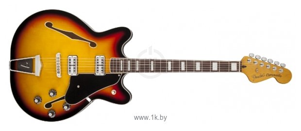Фотографии Fender Coronado Guitar