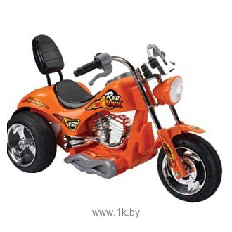 Фотографии Baby Maxi Harley-Davidson ZP5008