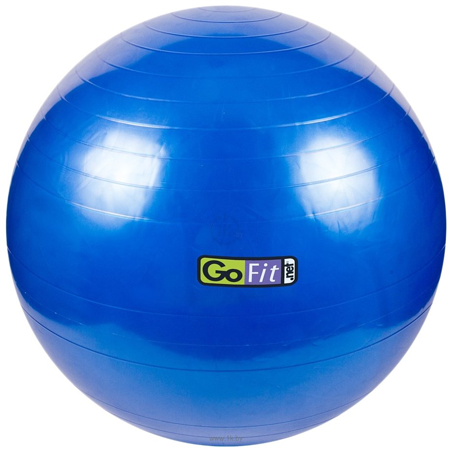 Фотографии Go Fit Stability Ball 75 см