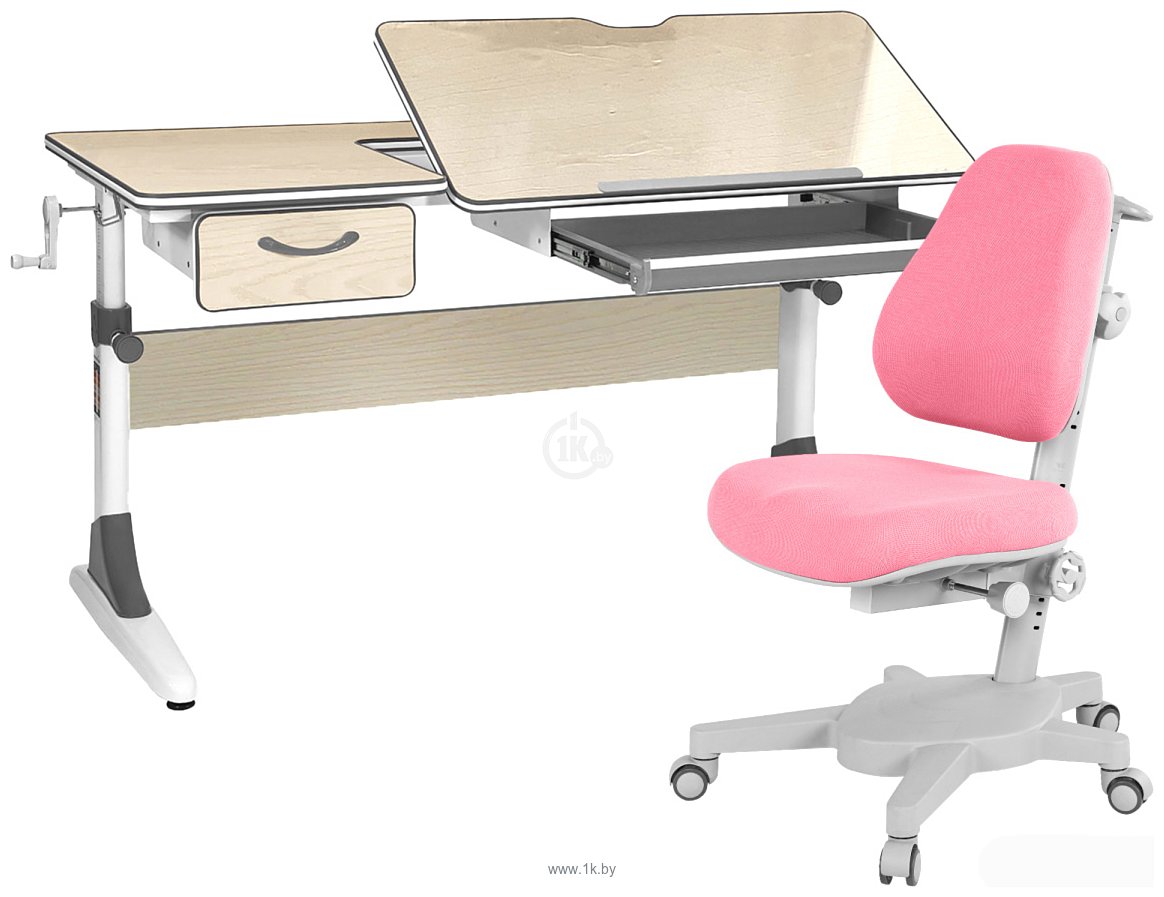 Фотографии Anatomica Study-120 парта + кресло + органайзер + ящик (клен/серый/розовый)