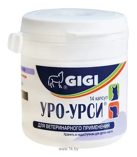 Фотографии GIGI Уро-Урси
