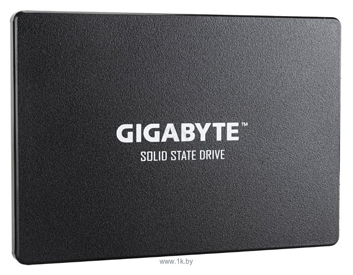 Фотографии GIGABYTE SSD 256GB (GP-GSTFS31256GTND)