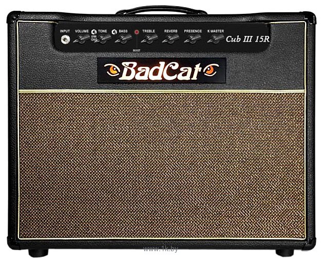 Фотографии Bad Cat Cub III 15 1x12 Combo