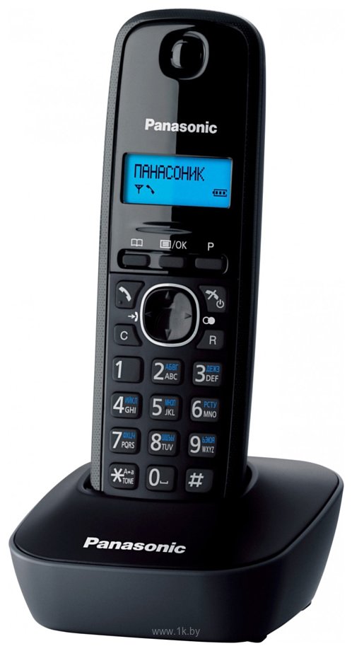 Фотографии Panasonic KX-TG1611RUH