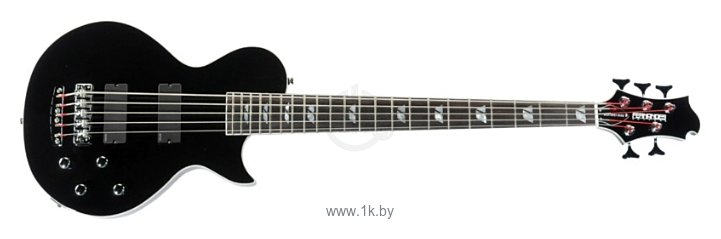 Фотографии Fernandes Guitars Monterey Bass 5 Deluxe