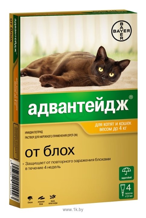 Фотографии Адвантейдж (Bayer) Адвантейдж для котят и кошек до 4кг (1 пипетка)