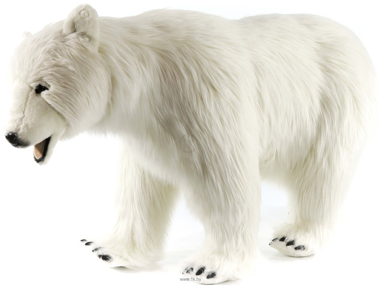 Фотографии Hansa Сreation Полярный медведь 6085 (110 см)