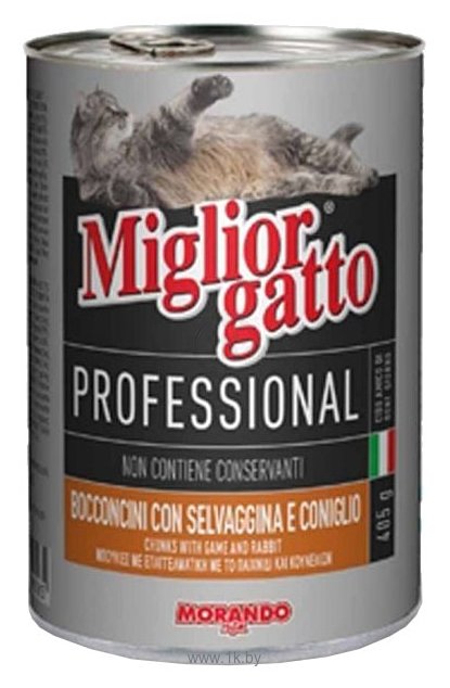 Фотографии Miglior Gatto Professional Line Game and Rabbit