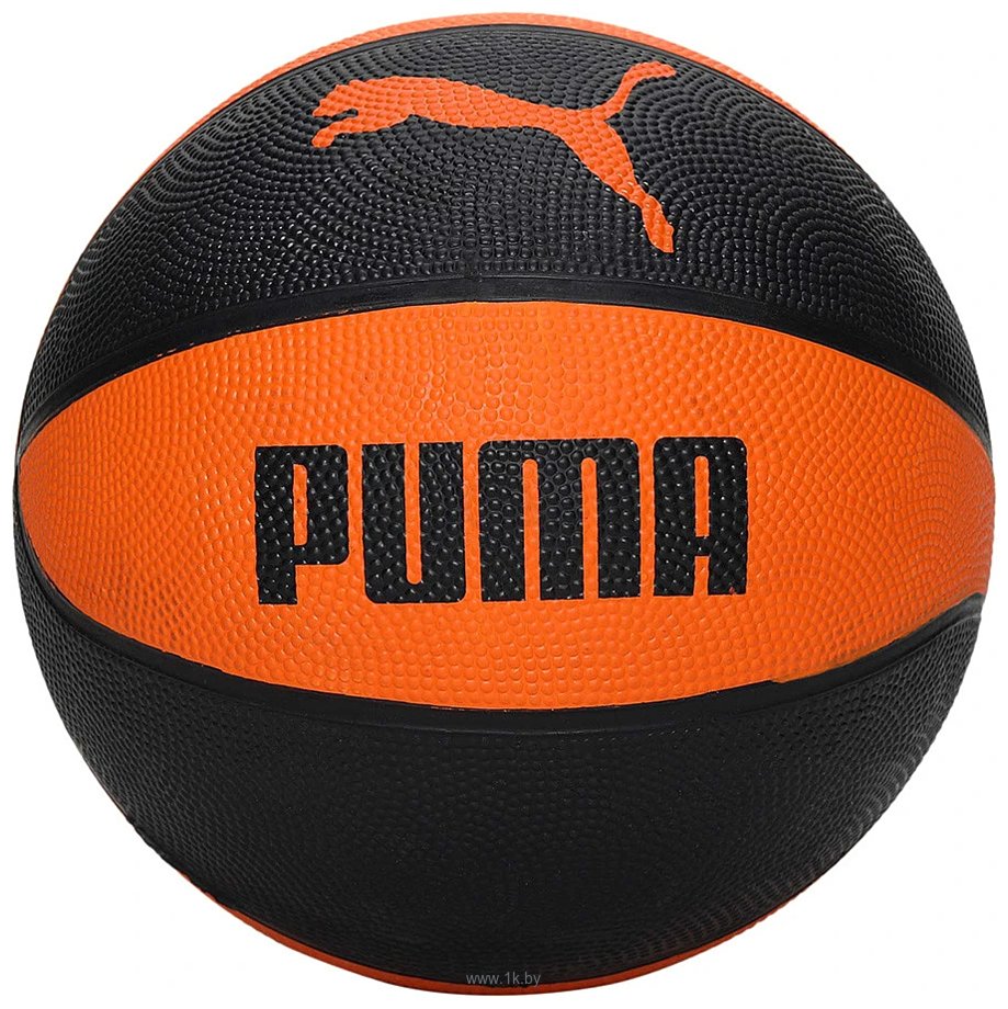 Фотографии Puma Indoor Basketball (7 размер)