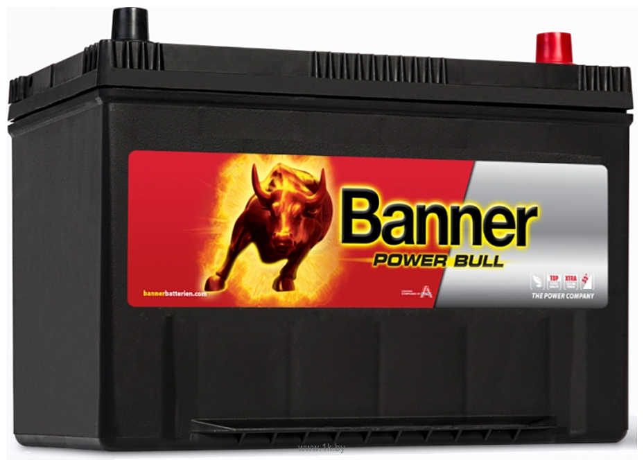 Фотографии Banner Power Bull P95 04 (95Ah)