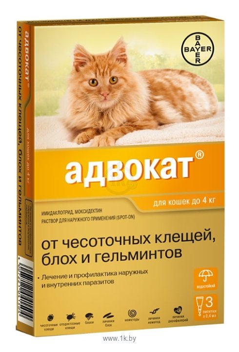 Фотографии Адвокат (Bayer) Адвокат для котят и кошек до 4 кг (1 пипетка)