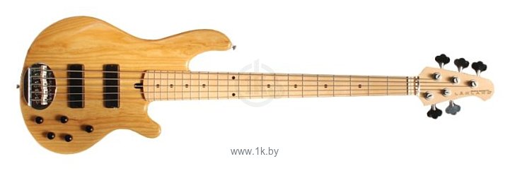 Фотографии Lakland Guitars Skyline 55-01