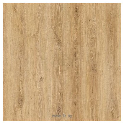 Фотографии Tarkett Elegance 1232 Ontario Oak